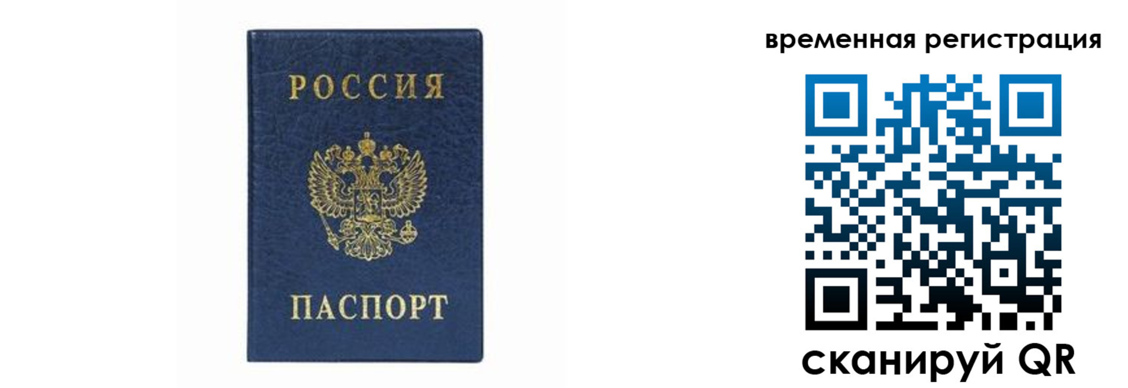 прописка от собственника в Кольчугино